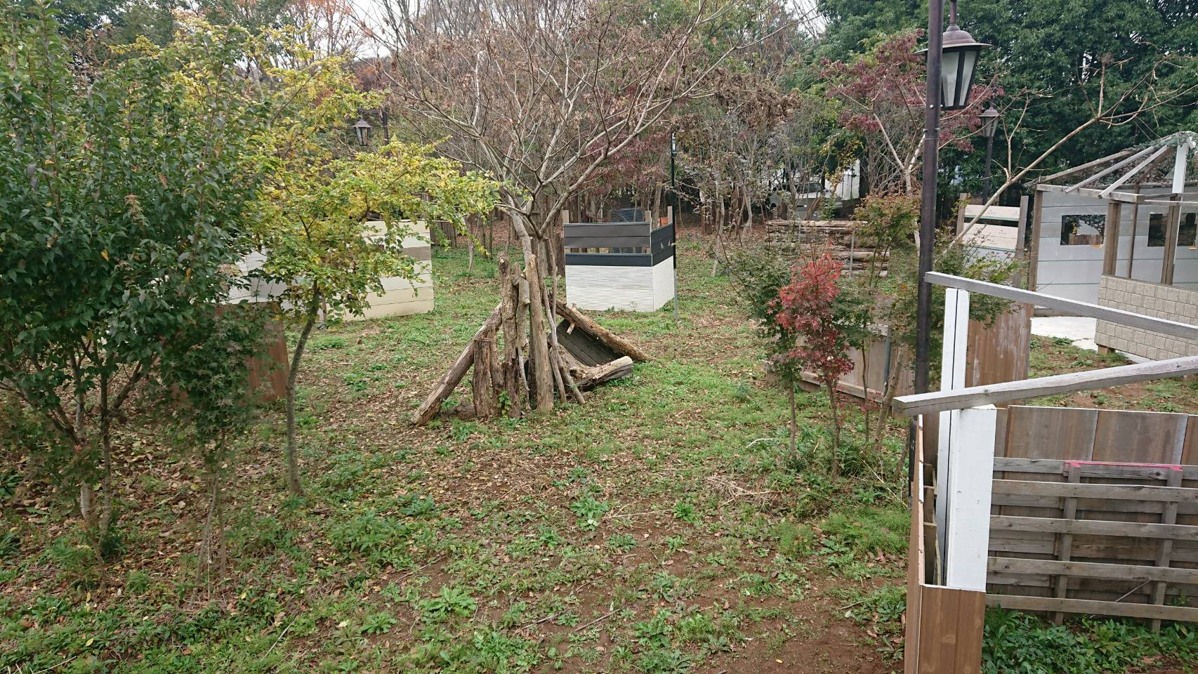フィールド:B